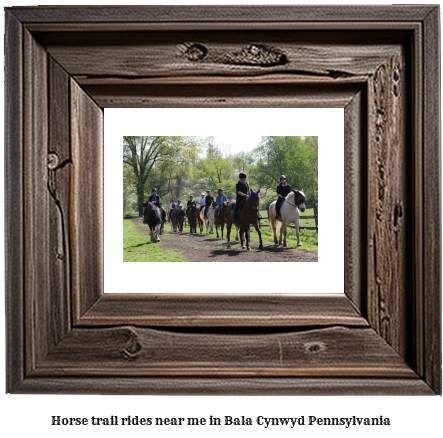 horse trail rides near me in Bala Cynwyd, Pennsylvania